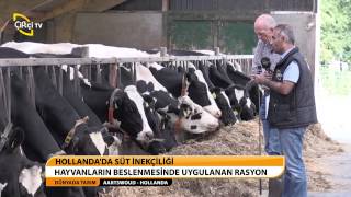 DÜNYADA TARIM 1BÖLÜM HOLLANDADA SÜT İNEKÇİLİĞİ [upl. by Semreh]