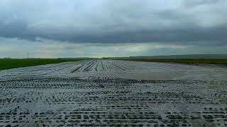 100 mm of rain fell in 30 minutes the water stopped in the fields heavy rain [upl. by Torrey]