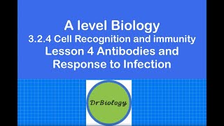 Lesson 4 Antibodies and Response to Infection ALevel Biology [upl. by Geri8]