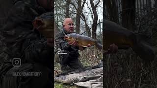 Catching a Carp at sandhurst lake  carp fishing [upl. by Ona352]