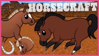 HorseCraft  The Best Horse Minecraft Server in 1132 [upl. by Oniskey]