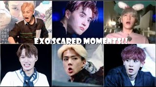 EXO SCARED MOMENTS [upl. by Ennove]