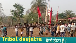 Tribal devjatra।। आदिवासी देवजात्रा।।salame family cg vlog [upl. by Aneloaup]