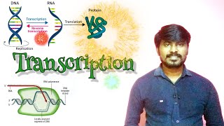 Transcription  Molecular Biology  Class 12  Neet Biology [upl. by Dylane]