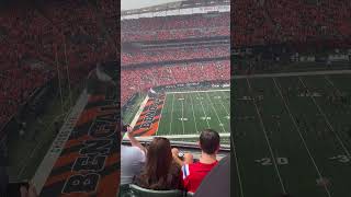 Here at the bengals vs patriots game [upl. by Goltz]