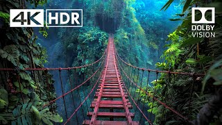 Unbelievable Places That Actually Exist 4K HDR 4K Video 4k 4khdr [upl. by Naelcm]