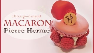 TUTO FIMO Macaron Ispahan Pierre Hermé  French Macaron Ispahan Polymer Clay Tutorial [upl. by Crabb784]