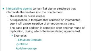 Biol 360 Tutorial DNA Mutations Intercalating agents [upl. by Janis]