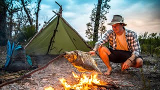 Solo Survival Bushcraft Camp  NO FOOD NO WATER [upl. by Ecidnarb901]