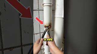 Fix Your Broken Pipe in Minutes ✅ [upl. by Yllor]