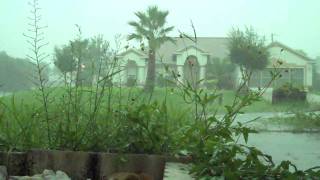 A Summer Florida Thunderstorm [upl. by Rema]