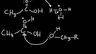 Esterification Mechanism making an ester from a carboxylic acid and an alcohol [upl. by Shane489]