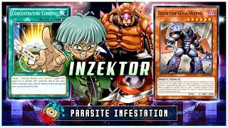 NEW INZEKTOR SUPPORT INZEKTOR OTK DECK  YuGiOh Duel Links [upl. by Asia565]