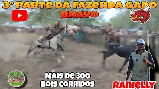 3° Parte da Fazenda Gado Bravo em TacaimbóPE Org Ranielly e família 100923 [upl. by Anecuza729]