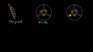 Placentation  Morphology of flowering plants  Biology  Khan Academy [upl. by Rekoob]