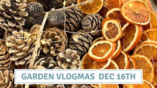 How To Bleach Pine Cones And Dry Orange Slices  Vlogmas 2023 Cottoverdi [upl. by Sardella]