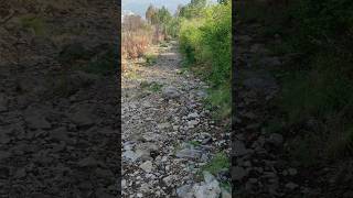 Most dangerous and steep hiking path in Pakistan nature mureepakistan trekkers hiketop travel [upl. by Mcmillan]