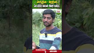 మొక్కలైనా  పిల్లలైనా పెంచడం ఈజీ కాదు Be it plants or children Growing is not that easy ABN Agri [upl. by Arretal]