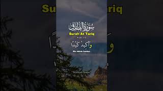 Surah At Tariq Ayat 16  Al Quran Dan Terjemahan [upl. by Nnaxor986]