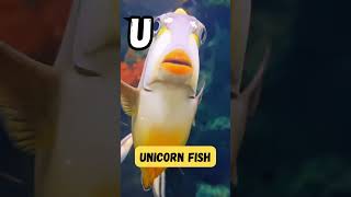 Animal Alphabet Adventures U  Episode 21  U for Urial  abcd kids viralvideo shorts [upl. by Butterworth462]