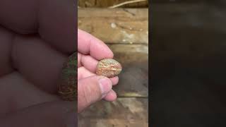 UNAKITE on a Saturday Morning michiganrocks lapidarist lapidarypolishing unakite lakesuperior [upl. by Antonella114]