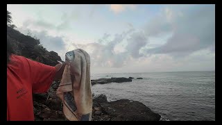 Surfcasting en Benalmádena Fondos Mixtos Picadón en directo Pabernosmatao [upl. by Maloy951]