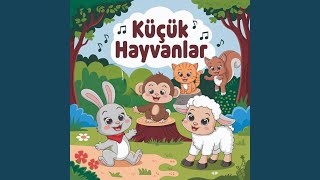 Küçük Hayvanlar [upl. by Estey]