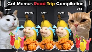 Cat Memes Road Trip Compilation Full [upl. by Hgielrebma637]