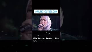 Shila Amzah DJSu Remix Ài wǒ háishì tā 愛我還是他 [upl. by Iclehc]