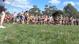 2023 Vic All Schools XC Extended Highlights [upl. by Gautious]