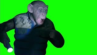 Monkey saying quotOH NOquot meme  Green Screen  War for the Planet of the Apes [upl. by Silvan]