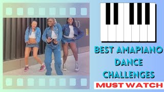 BEST Of Amapiano Dance Challenge Videos 2023 [upl. by Lustick]