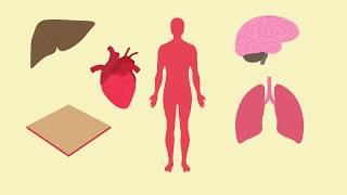 Innate Nonspecific Immune System [upl. by Theresina]