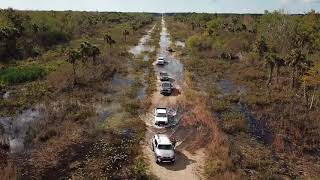 Off Roading Adventure at Picayune Strand State Forest 120317 [upl. by Hewe]