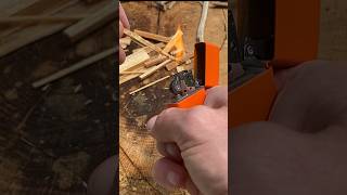 Fatwood tinder fatwood firestarter fatwood harvesting bushcraft fatwood [upl. by Regnig]