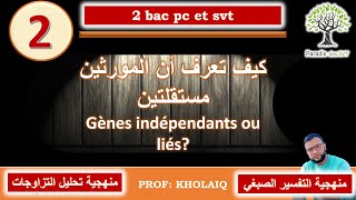 comment savoir est ce que les gènes sont indépendants ou liés [upl. by Enrica]