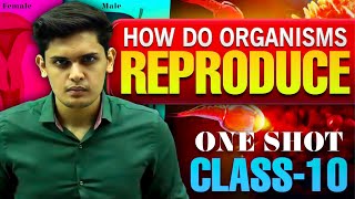 How Do Organisms Reproduce Complete Chapter🔥Class 10th Science NCERT covered Prashant Kirad [upl. by Jeavons837]