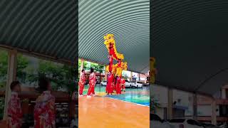 Acrobatic Lion Dance Thailand [upl. by Obed]