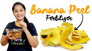 Banana Peel Fertilizer How to make Banana Peel Fertilizer केले के छिलके की खाद fertilizer plants [upl. by Byrann]