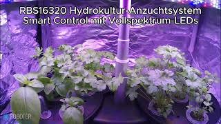 RBS16320 HydrokulturAnzuchtsystem in Aktion [upl. by Lime]