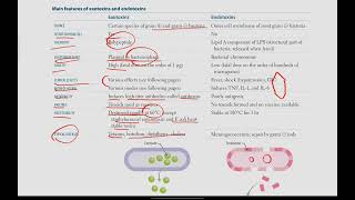 Exotoxins and Endotoxins Bacteria with exotoxins  Microbiology  6  First Aid USMLE in UrduHindi [upl. by Aneled]