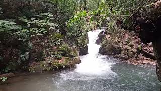 Parque Nacional de Uruapan quotBarranca del Cupatitzioquot [upl. by Ytsanyd961]