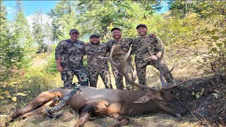 Opening Day Success  WA Archery Elk 2023 [upl. by Nileuqcaj]