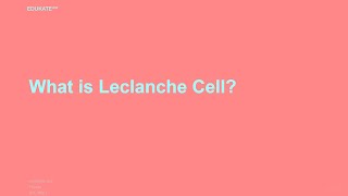 What is Leclanche Cell [upl. by Leik264]