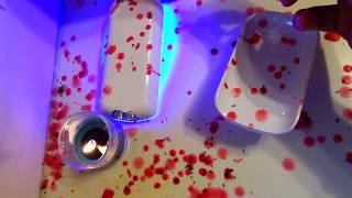 KILLING ANTS WITH CANDLE WAX VLOG [upl. by Eitirahc]