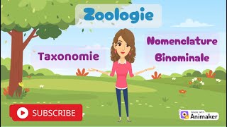 Zoologie  Taxonomie et Classification Binominale Expliquées  🐦📖quot [upl. by Moorefield]