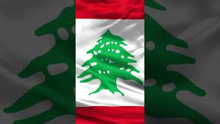 LEBANON  لبنان  Waving Flag  1 Hour  4K [upl. by Nodnar]