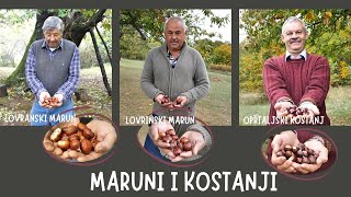 BOJE ZEMLJE Istarski maruni i kesteni [upl. by Mehs]