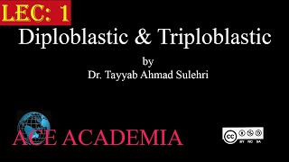 Diploblastic and Triploblastic  Chapter 10 Animalia Lec 1  Zoology  Biology  ACE Academia [upl. by Dnilazor]