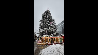 Katowice  The Vibrant Christmas Market 🎄 A Literary Extravaganza  02122023 [upl. by Haldes]